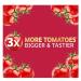Westland Tomato Food 1Litre- For Juicy Best Tasty Tomatoes - Buy Online on SooperMarket.com