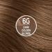 Naturtint 6G Dark Golden Blonde Hair Color - Pack of 6 | Ammonia-Free, Vegan, Cruelty-Free | Up to 100% Gray Coverage | Long-Lasting Results - Buy Online on SooperMarket.com