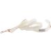 Lionet Paws Dog Leash - Premium Silk Leash for All Sizes | Matching Collars for Boys & Girls - XS White (Pack of 1) - Buy Online on SooperMarket.com