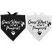 Pregnancy Announcement Dog Bandana Set for Dog Lovers - Gender Reveal Photo Prop and Pet Scarf Decorations - Pack of 2 - Buy Online on SooperMarket.com