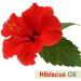 Hibiscus Sabdariffa L Essential Oil 50ML - 100% Pure Uncut Cold Pressed Premium Aromatherapy Oil - Buy Online on SooperMarket.com