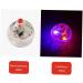 U-K Flash Ball Toy 2 Pieces Ghost Flashing Balls Light Up Cat Dog Balls Toy Paranormal Equipment Pet Balls Toy Useful and Nice - Buy Online on SooperMarket.com