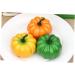 Alipis 9 Pcs Artificial Pumpkins Dollhouse Artificial Mini Pumpkins Small Fake Pumpkins Party Decorations Small Pumpkins for Decorating Cabinet Decor Artificiales Para Vegetable Model - Buy Online on SooperMarket.com
