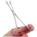 BCOATH Reptile Feeding Clip Lizard Stuff Feeding Tongs Snake Tongs Stainless Steel Silver - Buy Online on SooperMarket.com