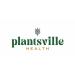 Plantsville Health Cinnamon Coco Sugar 150g - Natural Sugar Substitute for Baking & Drinks - Buy Online on SooperMarket.com