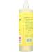Rebel Green Peppermint Lemon Dish Soap - 16 oz | Eco-Friendly Cleaning - Buy Online on SooperMarket.com