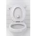 Toddler Target Adjustable Potty Toilet Bowl Training Learning Easy Fast Fun Motion Sensor Activated Bullseye Illuminated Laser Beam Nightlight - Buy Online on SooperMarket.com