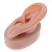 FOMIYES 1pc Human Ear Model Maniquine Body Jewelry Simulation Display Props Silicone Piercing Teaching Model Simulation Human Ear Model Hearing Display Prop Ear Mold Artificial Ear Model Coffee 6.5x3.5cm