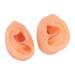 Soft Waterproof Ear Display Model | Simulated Model for Doctors & Centers - Buy Online on SooperMarket.com