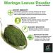 Metrol Leanbeing Organic Moringa (Olifera) Leaf Powder- Powerful Vitamins & Antioxidants (200 Gm) - Buy Online on SooperMarket.com