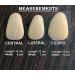 Ultra Thin Tooth Whitening Veneers for Missing or Broken Teeth | Realistic Cosmetically Enhanced Smile | Shade A-2 - Buy Online on SooperMarket.com