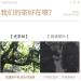 Pu-erh tea 2016 Jingmai 357g.Raw - Buy Online on SooperMarket.com