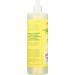 Rebel Green Peppermint Lemon Dish Soap - 16 oz | Eco-Friendly Cleaning - Buy Online on SooperMarket.com