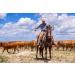 JTM Vintage Cattle Driver Beard Oil | Premium Grooming & International Shipping - Buy Online on SooperMarket.com