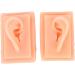 Ear Model Silicone Ear Model Acupuncture Practice Human Soft Teaching Left Right Ear Model - Buy Online on SooperMarket.com