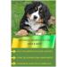 Barbara Seitz Brewers Yeast Pellets for Dogs 1000g - Enhance Fur & Skin Health | BARF Diet | With Diatomaceous Earth for Coat Care - Buy Online on SooperMarket.com