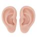 Silicone Ear Model - Medium Skin Color for Earrings Display and Piercing Practice - Buy Online on SooperMarket.com