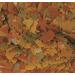 Tropical Goldfish Colour Flakes - 100 g - Buy Online on SooperMarket.com