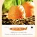 Carrot Eye Cream - Anti Dark Circles Reduces Bags & Moisturizes Dry Skin | Firming Eye Care - Buy Online on SooperMarket.com