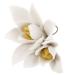 Cabilock 1pc Ceramic Orchid Wall Decor Pendant Pool Decor Wall Decal Garden Wall Art Adornment Ceramics White 9.00X6.50X4.00CM