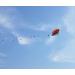 Besra Colorful Parafoil Kite with Long Tail - Easy to Fly Outdoor Fun for Kids & Adults | 20 inch - Buy Online on SooperMarket.com
