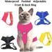 Dexil Colour Coded Cat Harness Warning Alert Vest Padded and Water Resistant Red CAUTION (S-M) Small-Medium Red CAUTION - Buy Online on SooperMarket.com