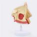 Anatomical Model Throat Nose Model of The Mouth of Nasal Cavity Medical Anatomical - Buy Online on SooperMarket.com