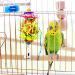 Bojafa Bird Toys For Budgie Parrot Toy - 10 Pack Hanging Budgies Play Stand Perch For Cage Natural Wooden Birds Swing Ladder Large Cockatiel Toy Accessories For African Grey Parrots Conure Parakeet - Buy Online on SooperMarket.com