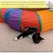 Interactive Cat Tunnel Toy for Indoor Cats - Collapsible S-Style Rainbow Tunnel for Kittens, Rabbits, and Puppies - Buy Online on SooperMarket.com