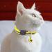 Closer 12 Pcs Reflective Collars Quick Release Safety Buckle with Bell Adjustable 19-32cm (12 Colors) - Buy Online on SooperMarket.com