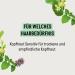 Guhl Scalp Sensitive Shampoo 250ml | All Hair Types | Soothes Dry & Sensitive Scalps - International Shipping Available - Buy Online on SooperMarket.com