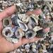 Natural Small Rough Stone raw Crystal Agate geode 10pc - Buy Online on SooperMarket.com