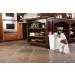 PetSafe Pawz Away Spray Deterrent - Effective Pet Training Tool - Buy Online on SooperMarket.com