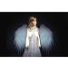 Spekular Light Blaster Creative Wings Kit - Transform Your Photography with Stunning Effects - Buy Online on SooperMarket.com