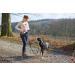 HUNTER Jasper Anti-Jerk Leash & Jogging Belt - Shock Absorber Reflective Red/Black & Red/Grey - One Size | Buy Internationally - Buy Online on SooperMarket.com