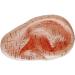 10 Pieces Anatomical Model of Human Ear Acupuncture with Acupuncture Points English Version Ear pins Model for Study - Buy Online on SooperMarket.com