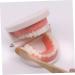Frcolor Early Dental Education Role-Playing Toys | Wooden Puzzle for Kids & Toddlers - Learn to Brush Teeth Fun! - Buy Online on SooperMarket.com