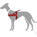 Buy HUNTER RACING Norwegian Harness | Size S (42-53 cm) | Red/Black | International Shipping Available - Buy Online on SooperMarket.com