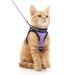 Rabbitgoo cat dishes cat linen set cat dishes with leash dishes cats outbreaked.