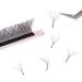 5D Y Lash Extensions | Premium YY Eyelash Extensions | C Curl Premade Volume 5D Fans (0.07c-14mm) - Perfect for Stunning Volume - Buy Online on SooperMarket.com