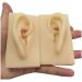 Silicone Ear Template - 1 Pair Silicone Ear Acupuncture Practical Model - Earmold Artificial Ear Simulation for Acupuncture Studs Earring Earlier - Buy Online on SooperMarket.com