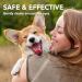 Buy Vets Best Dog Eye Wipes - 100 Pieces | Gentle Care for Your Dog's Eyes | International Shipping Available - Buy Online on SooperMarket.com