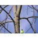 THORIUM Outdoor Slingshot Launcher Arborist Throw Weight Bag - Bright Green 16oz / 450g - Buy Online on SooperMarket.com