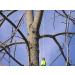 THORIUM Slingshot Launcher Arborist Throw Weight Bag Pouch Set Kit - Bright Green 12oz + Bonus 150' Throw Line Rope - Buy Online on SooperMarket.com