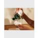 The Body Shop Vitamin E Toner - 8.4 Fl Oz (Vegan, All Skin Types) - Buy Online on SooperMarket.com