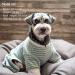KYEESE Dog Pajamas 4 Legs Jumpsuit, Hair Shedding Cover, Summer Medium - Green Stripe | Pack of 1 - Buy Online on SooperMarket.com