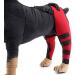 Pet Dog Knee Brace ACL Brace for Dogs Rear Leg Dog Braces for Back Leg for Support for Heals Prevents Injuries Sprains Red Small Small Red - Buy Online on SooperMarket.com