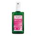 Weleda Wild Rose Deodorant 100 ml Fresh 100 ml (Pack of 1)