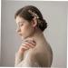 Angoily Tiara Bride Insert Comb Women Hairpin Bridal Headdress Wedding Miss Hair Comb - Buy Online on SooperMarket.com