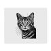 2 x "Cat Portrait" microfiber lens/glasses cleaning cloths (LC00023951)